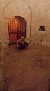 12191406_946891565371413_1856034862543215649_n