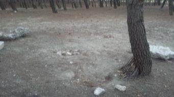 10382176_821005741293330_1194045403263339360_n