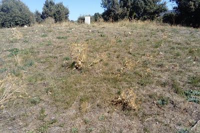 Túmulo del dolmen de Entretérminos (imagen propia)