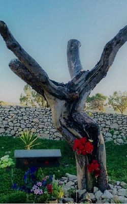 arbol_del_crucificado_alvaro_anula