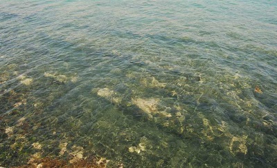 cart_ruts_marsaskala_alvaro_anula