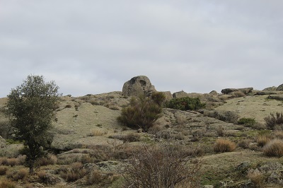 buho-sagrado-ulaca-alvaro-anula